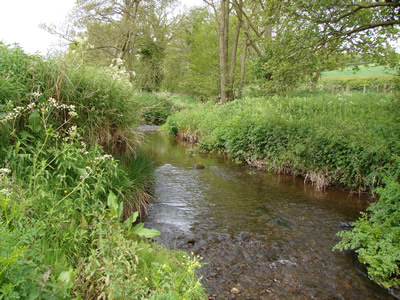 River Llynfi Dulas pool
